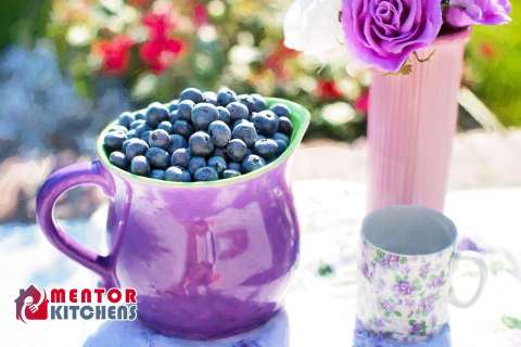 What Are The Benefits Of Blueberry Seeds