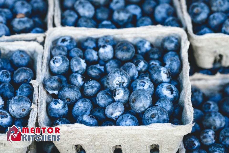 Types of Blueberries